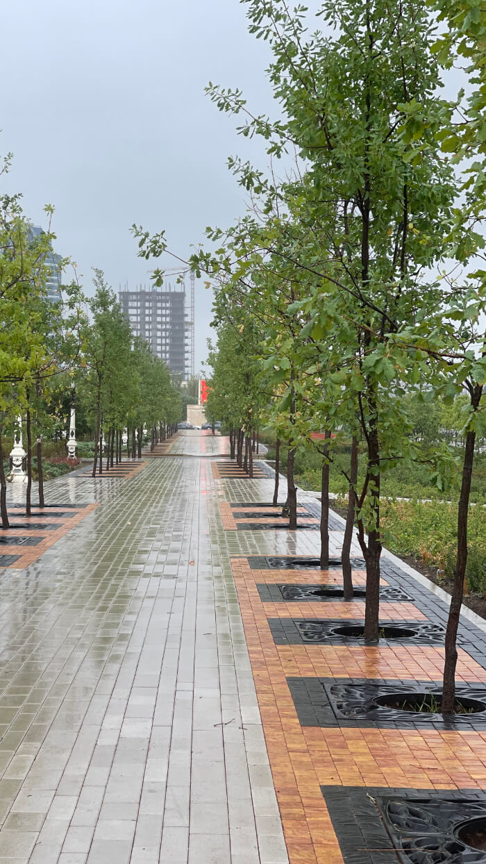 Приствольная решетка для дерева ZKING CRUST 1.2х1.2м Черная в Калининграде фото