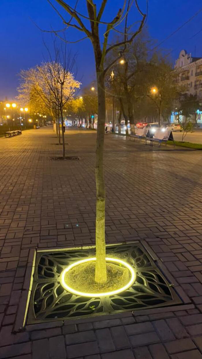 Приствольная решетка для дерева ZKING CRUST 1.2х1.2м Черная в Калининграде фото